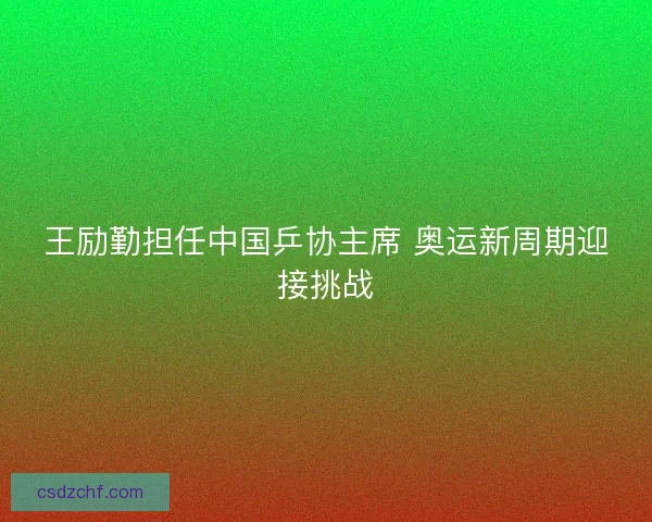 王励勤担任中国乒协主席 奥运新周期迎接挑战