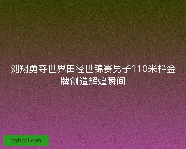 刘翔勇夺世界田径世锦赛男子110米栏金牌创造辉煌瞬间