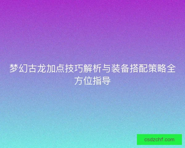 梦幻古龙加点技巧解析与装备搭配策略全方位指导