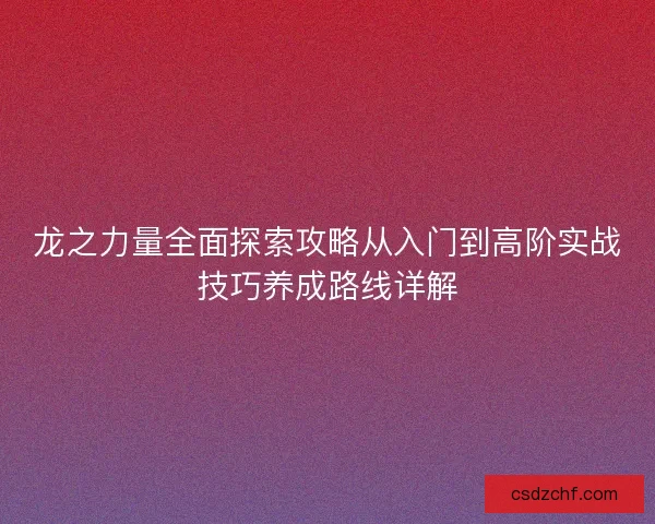 龙之力量全面探索攻略从入门到高阶实战技巧养成路线详解